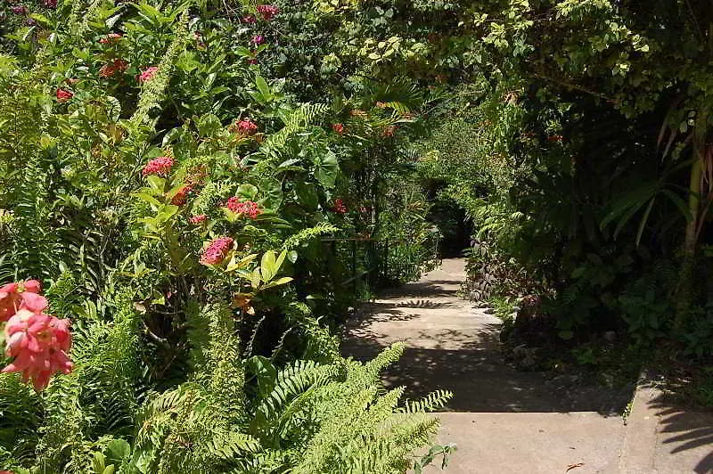 Inn At Shaw Park Gardens & Waterfalls Ocho Rios 2*,  Jamaica