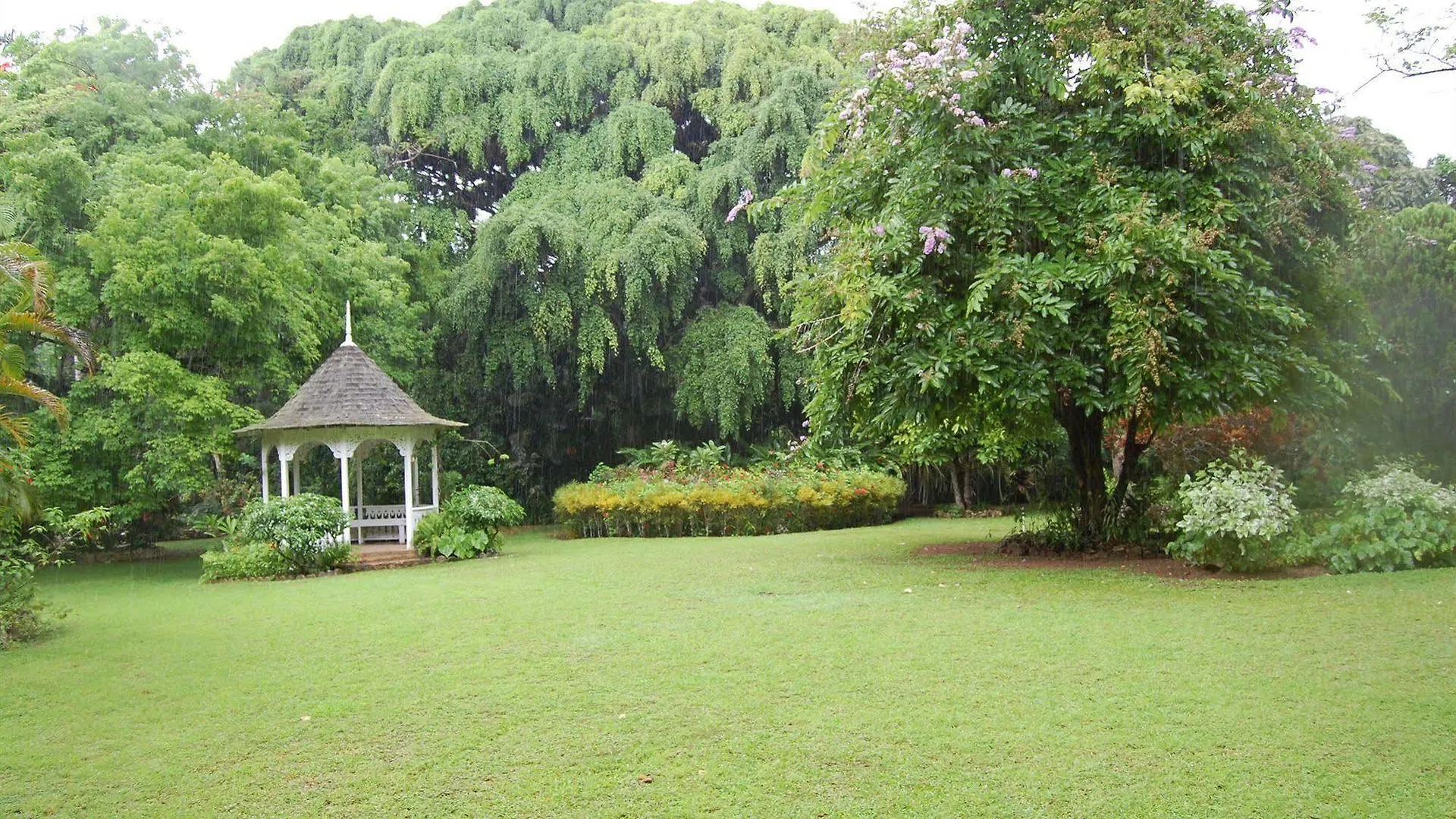 Hotel Inn At Shaw Park Gardens & Waterfalls Ocho Rios