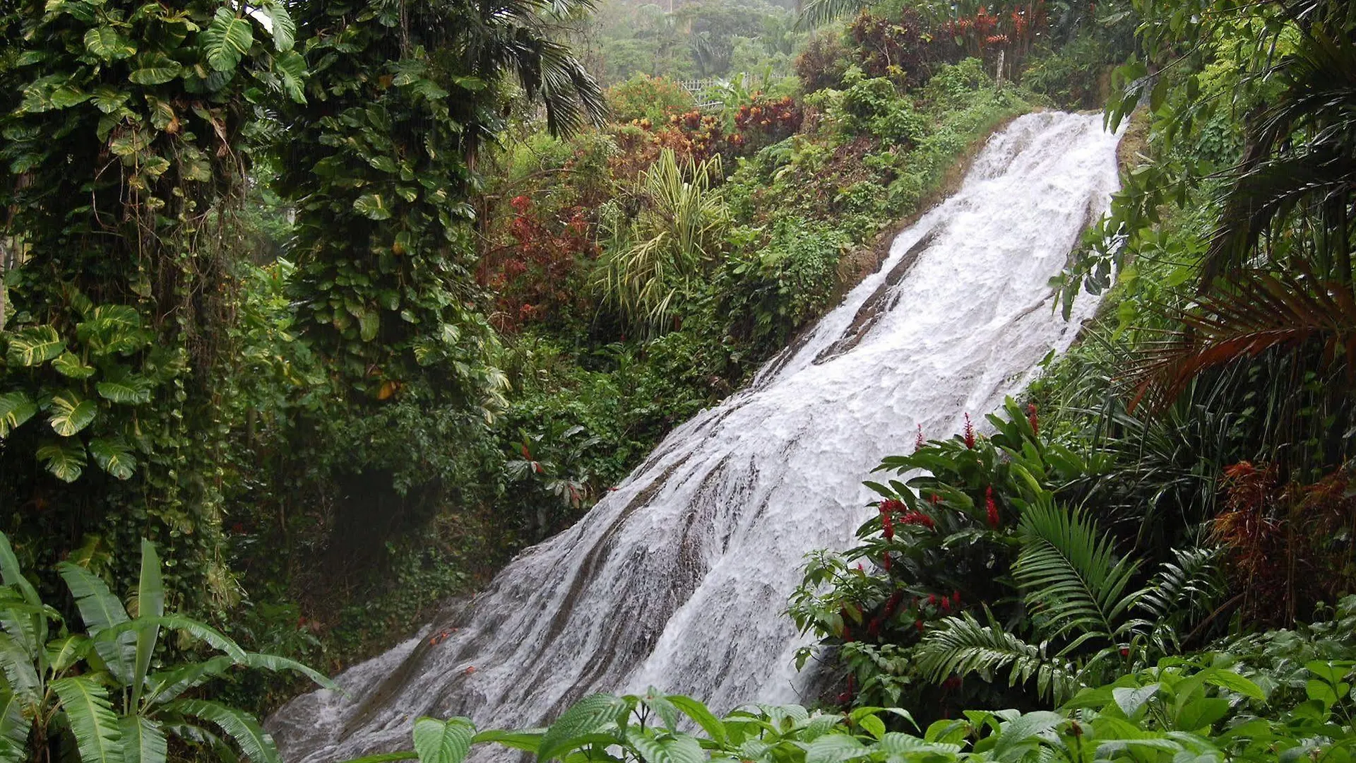 Inn At Shaw Park Gardens & Waterfalls Ocho Rios 2*,